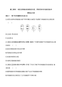 2021学年第一章 遗传的细胞基础第一节 减数分裂和受精作用哺乳动物生殖细胞的形成第2课时练习题