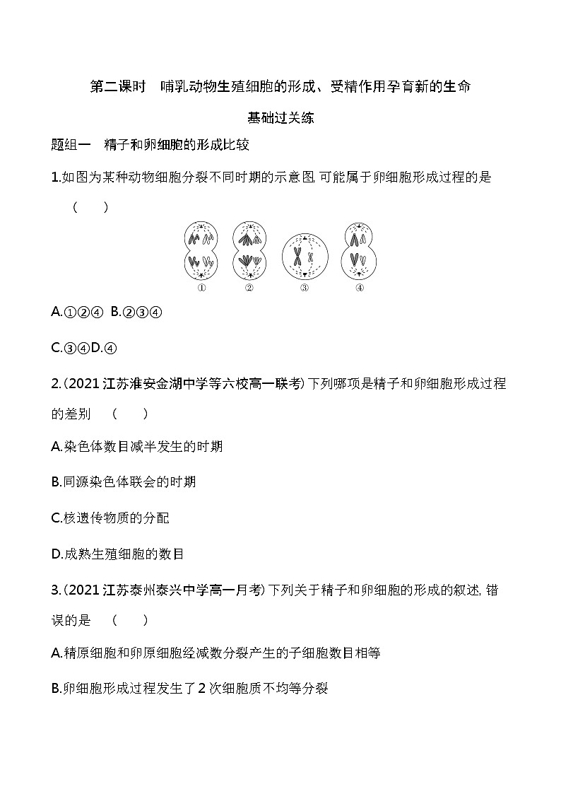 第2课时　哺乳动物生殖细胞的形成、受精作用孕育新的生命-2022版生物必修第二册 苏教版（2019） 同步练习 （Word含解析）第1页