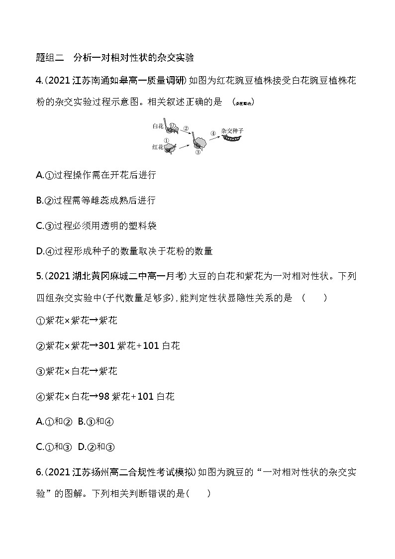 第1课时　分离定律-2022版生物必修第二册 苏教版（2019） 同步练习 （Word含解析）02