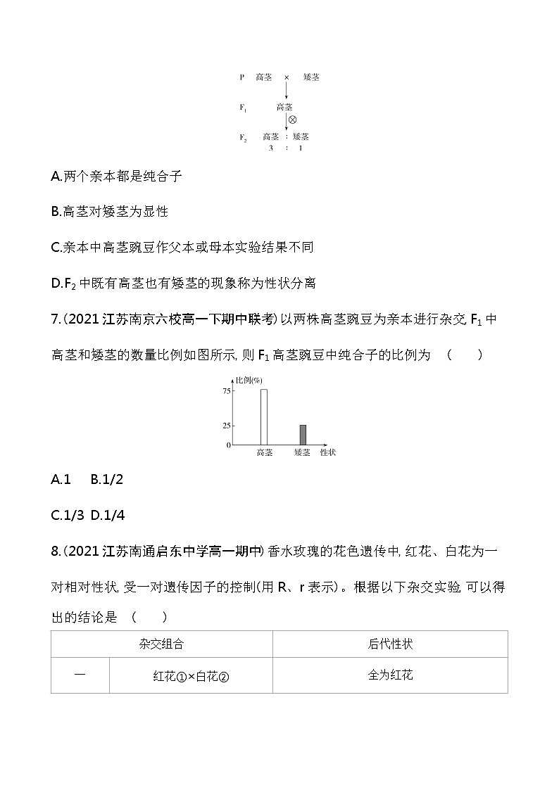 第1课时　分离定律-2022版生物必修第二册 苏教版（2019） 同步练习 （Word含解析）03