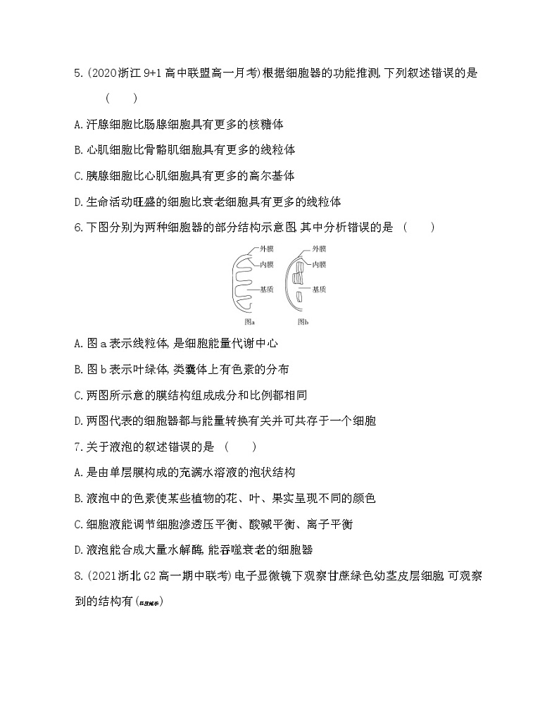 第三节　细胞质是多项生命活动的场所-2022版生物必修第一册 浙科版（2019） 同步练习 （Word含解析）02