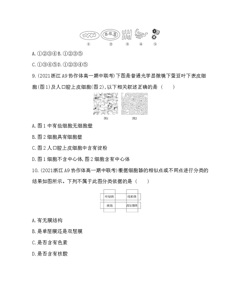 第三节　细胞质是多项生命活动的场所-2022版生物必修第一册 浙科版（2019） 同步练习 （Word含解析）03