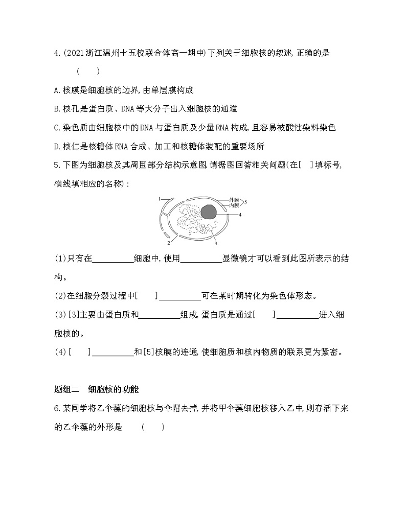 第四节　细胞核是细胞生命活动的控制中心-2022版生物必修第一册 浙科版（2019） 同步练习 （Word含解析）02