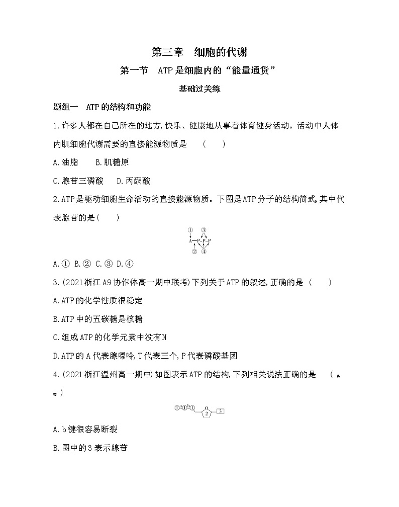 第一节　ATP是细胞内的“能量通货”-2022版生物必修第一册 浙科版（2019） 同步练习 （Word含解析）01