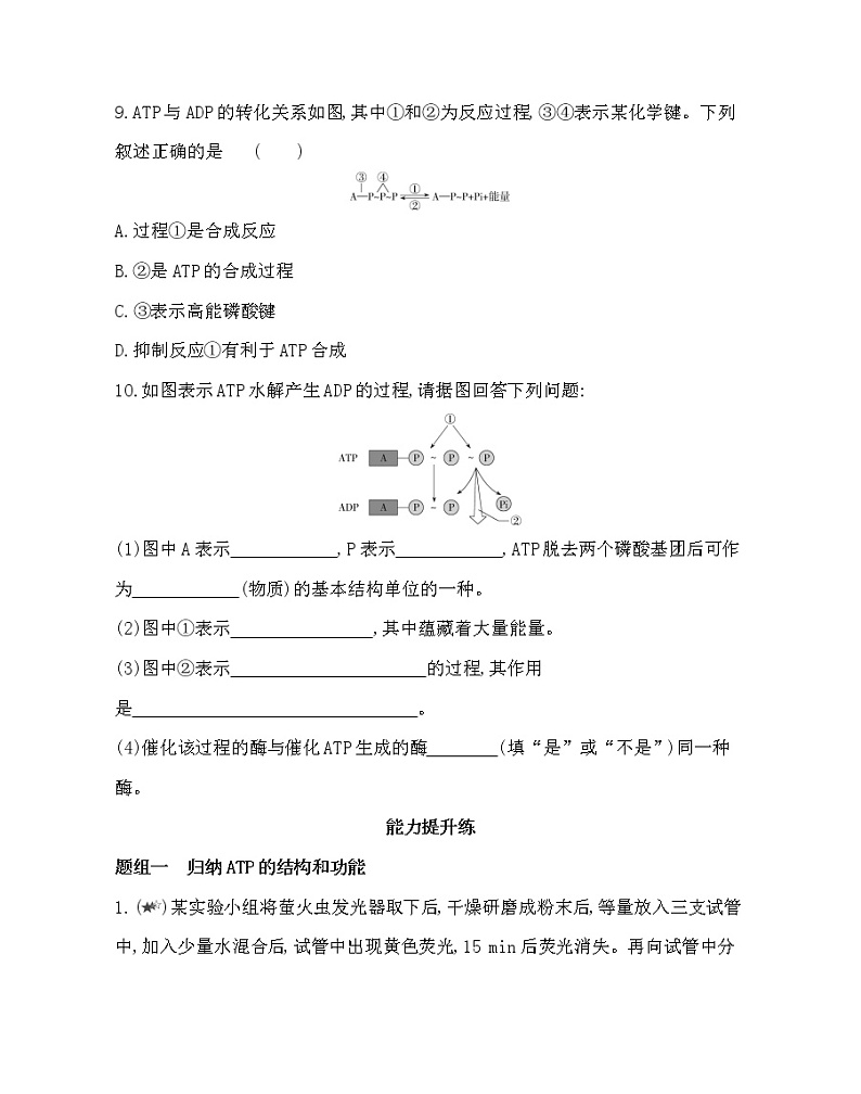 第一节　ATP是细胞内的“能量通货”-2022版生物必修第一册 浙科版（2019） 同步练习 （Word含解析）03