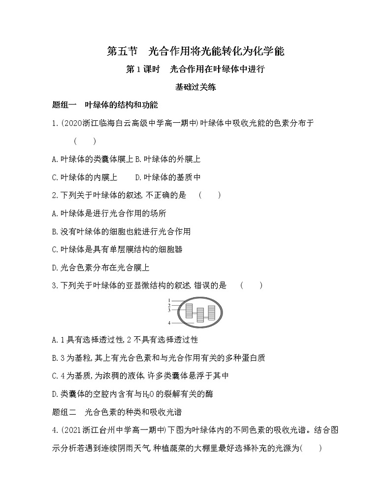 第五节　光合作用将光能转化为化学能-2022版生物必修第一册 浙科版（2019） 同步练习 （Word含解析）01