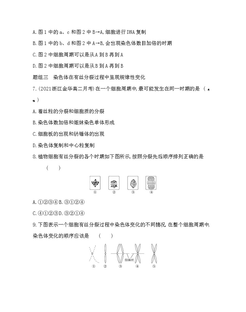 第一节　细胞通过分裂增殖-2022版生物必修第一册 浙科版（2019） 同步练习 （Word含解析）03