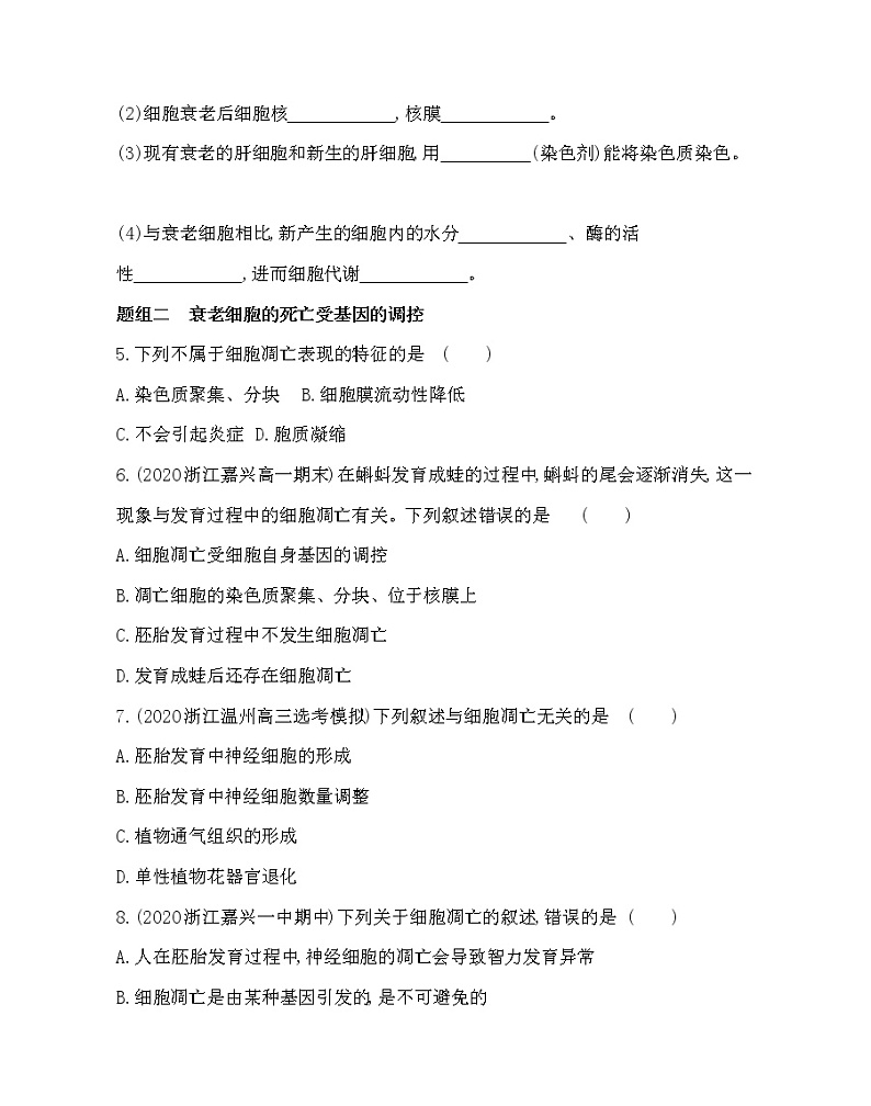 第三节　细胞凋亡是编程性死亡-2022版生物必修第一册 浙科版（2019） 同步练习 （Word含解析）02