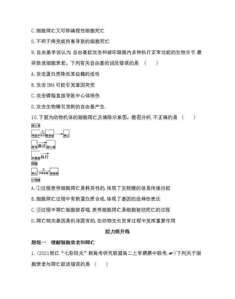 第三节　细胞凋亡是编程性死亡-2022版生物必修第一册 浙科版（2019） 同步练习 （Word含解析）03