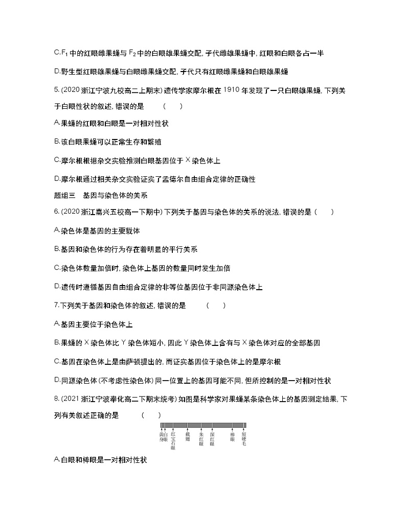 第二节　基因伴随染色体传递-2022版生物必修第二册 浙科版（2019） 同步练习 （Word含解析）02