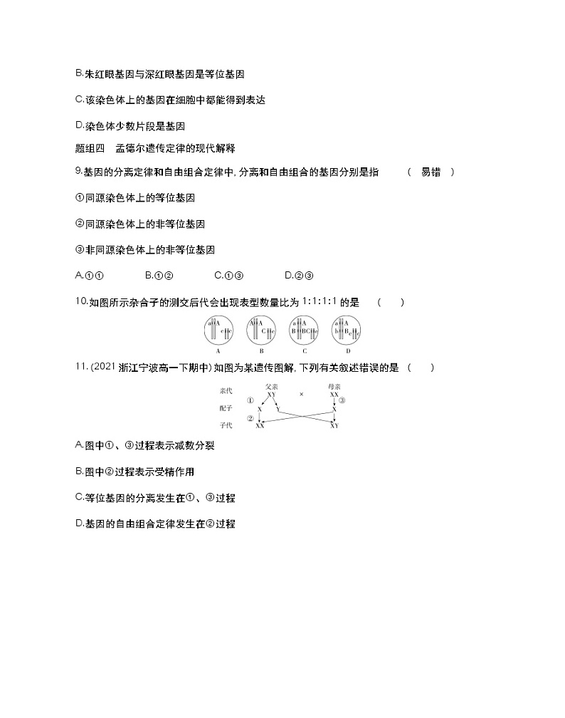 第二节　基因伴随染色体传递-2022版生物必修第二册 浙科版（2019） 同步练习 （Word含解析）03