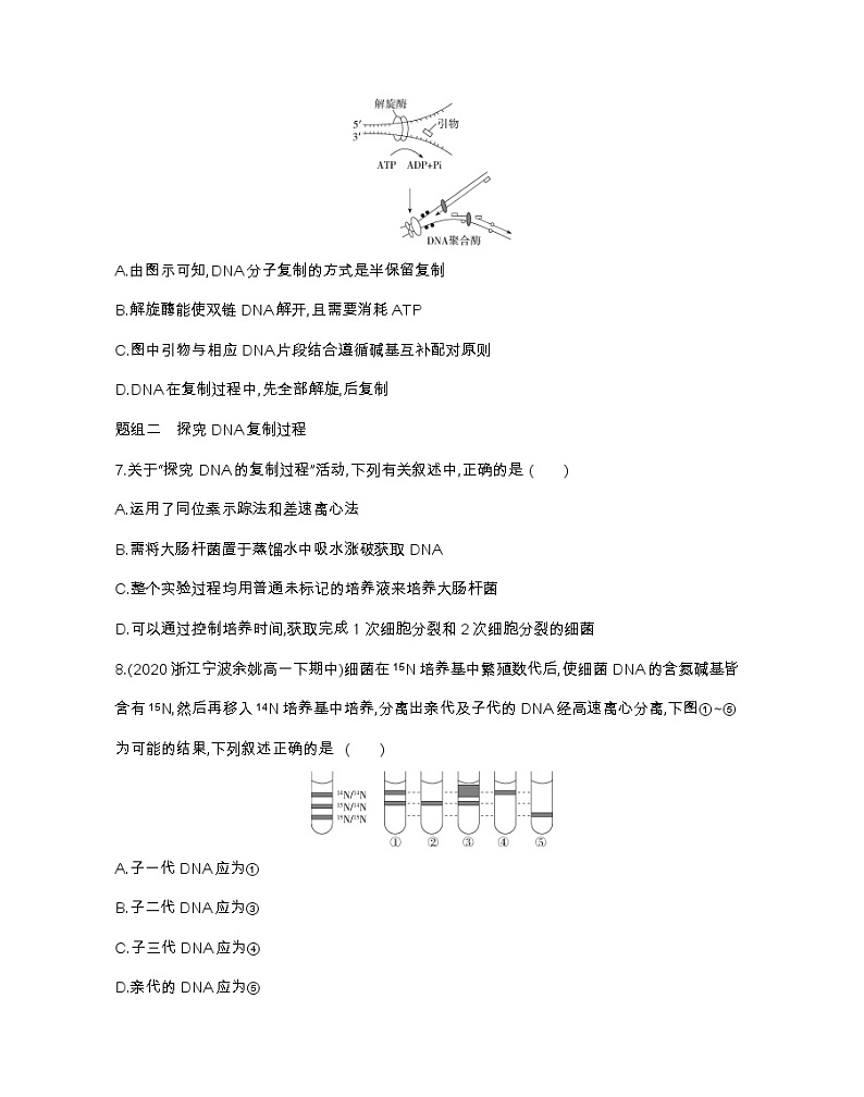 第三节　DNA通过复制传递遗传信息-2022版生物必修第二册 浙科版（2019） 同步练习 （Word含解析）03