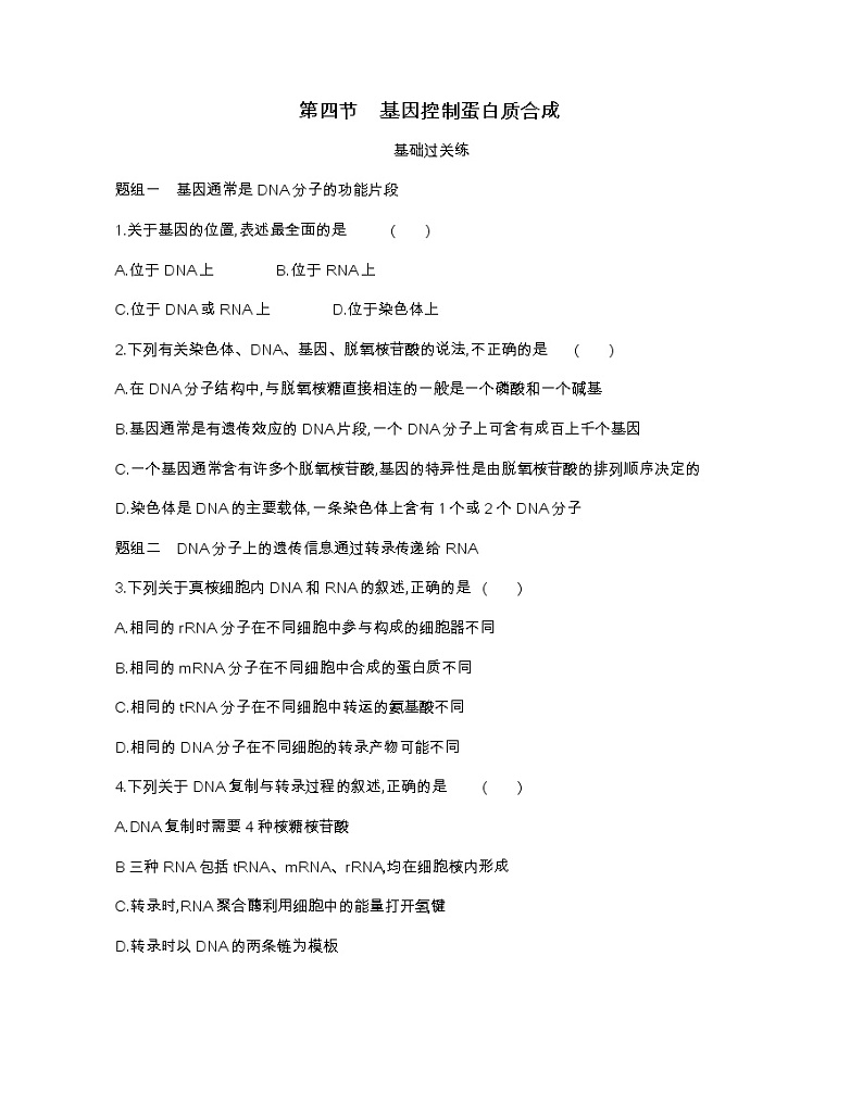 第四节　基因控制蛋白质合成-2022版生物必修第二册 浙科版（2019） 同步练习 （Word含解析）01