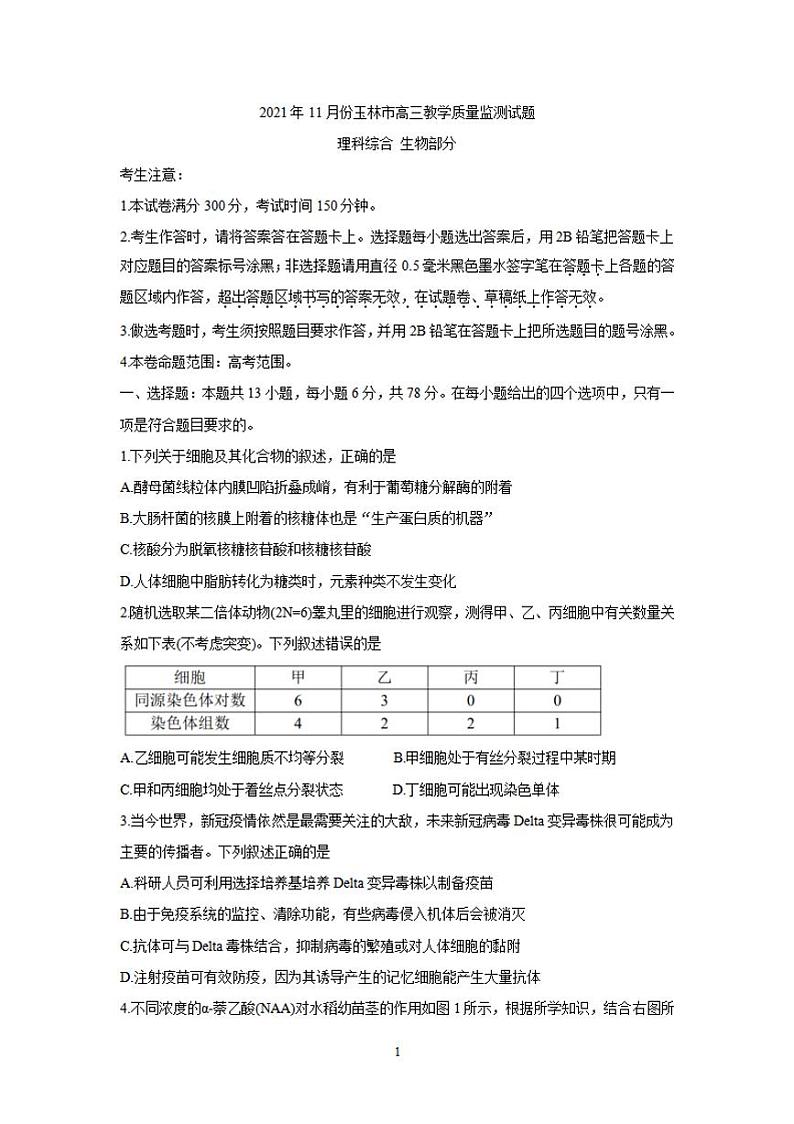 广西玉林市2022届高三上学期第一次统考（11月）生物试题含答案第1页
