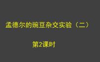 2021学年第1章 遗传因子的发现第2节 孟德尔的豌豆杂交实验（二）授课ppt课件