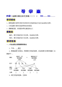 高中人教版 (2019)第2节 孟德尔的豌豆杂交实验（二）第2课时学案