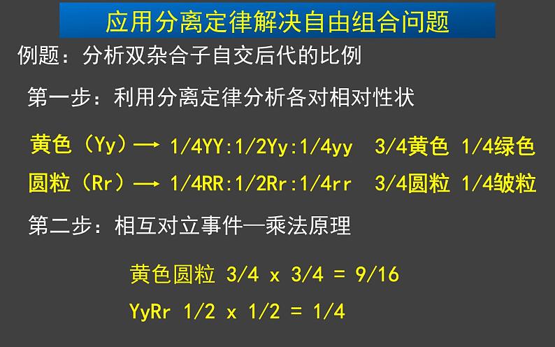 1.2 孟德尔的豌豆杂交实验（二）（第3课时）课件-人教版（2019）高中生物必修2遗传与进化第5页