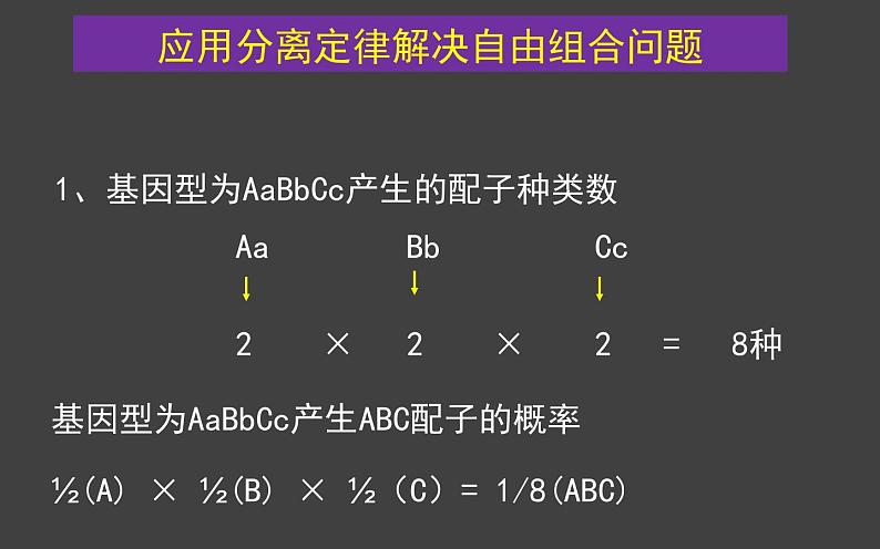 1.2 孟德尔的豌豆杂交实验（二）（第3课时）课件-人教版（2019）高中生物必修2遗传与进化第6页