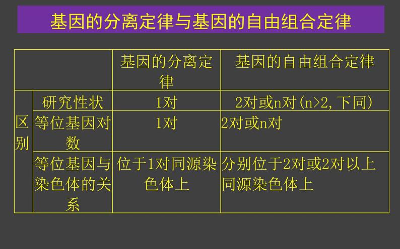 1.2 孟德尔的豌豆杂交实验（二）（第3课时）课件-人教版（2019）高中生物必修2遗传与进化第8页