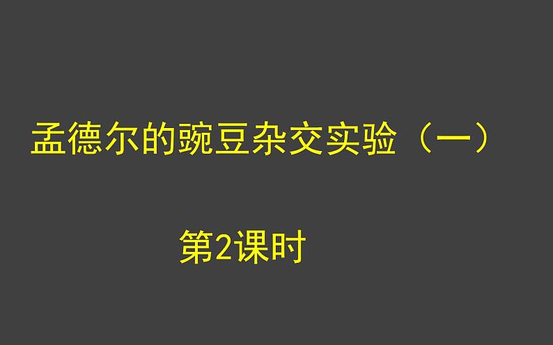 1.1 孟德尔的豌豆杂交实验（一）第2课时 课件-人教版（2019）高中生物必修2遗传与进化01