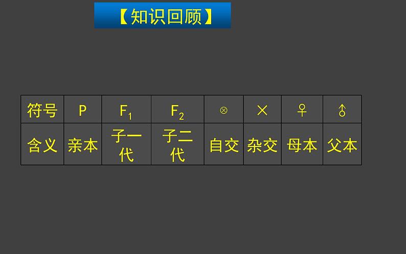 1.1 孟德尔的豌豆杂交实验（一）第2课时 课件-人教版（2019）高中生物必修2遗传与进化02