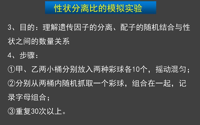 1.1 孟德尔的豌豆杂交实验（一）第2课时 课件-人教版（2019）高中生物必修2遗传与进化06