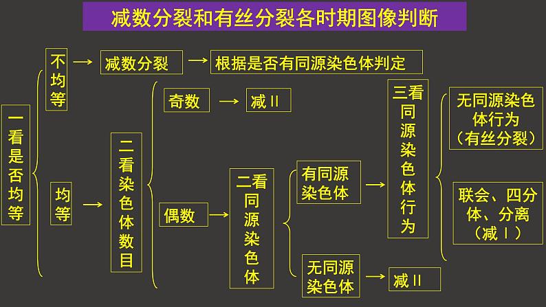 2.1 减数分裂和受精作用（一）（第3课时）课件-人教版（2019）高中生物必修2遗传与进化06