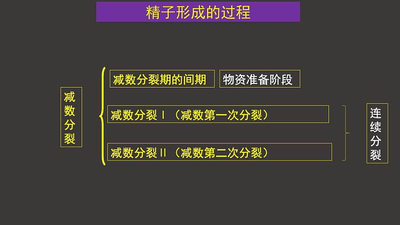 2.1 减数分裂和受精作用（一）（第1课时）课件-人教版（2019）高中生物必修2遗传与进化第6页