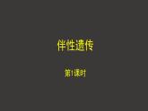 2.3 伴性遺傳（第1課時(shí)）課件-人教版（2019）高中生物必修2遺傳與進(jìn)化
