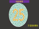 2.3 伴性遺傳（第1課時(shí)）課件-人教版（2019）高中生物必修2遺傳與進(jìn)化