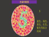 2.3 伴性遺傳（第1課時(shí)）課件-人教版（2019）高中生物必修2遺傳與進(jìn)化
