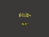 2.3 伴性遺傳（第2課時(shí)）課件-人教版（2019）高中生物必修2遺傳與進(jìn)化