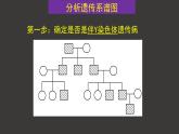 2.3 伴性遺傳（第2課時(shí)）課件-人教版（2019）高中生物必修2遺傳與進(jìn)化