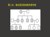 2.3 伴性遺傳（第2課時(shí)）課件-人教版（2019）高中生物必修2遺傳與進(jìn)化