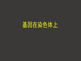 2.2 基因在染色体上 课件-人教版（2019）高中生物必修2遗传与进化
