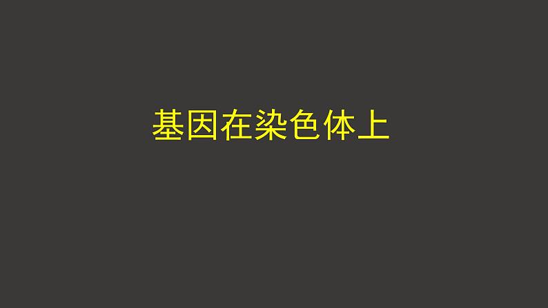 2.2 基因在染色体上 课件-人教版（2019）高中生物必修2遗传与进化第1页