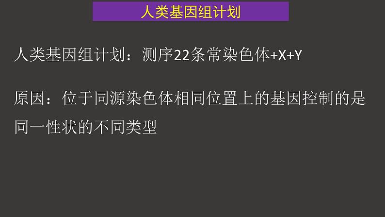 2.2 基因在染色体上 课件-人教版（2019）高中生物必修2遗传与进化第3页