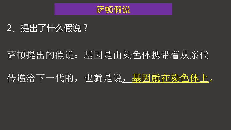2.2 基因在染色体上 课件-人教版（2019）高中生物必修2遗传与进化第5页