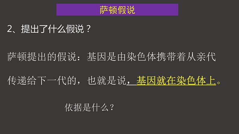 2.2 基因在染色体上 课件-人教版（2019）高中生物必修2遗传与进化第6页