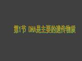 3.1 DNA是主要的遗传物质（第2课时）课件-2020-2021学年人教版（2019）高中生物必修2遗传与进化