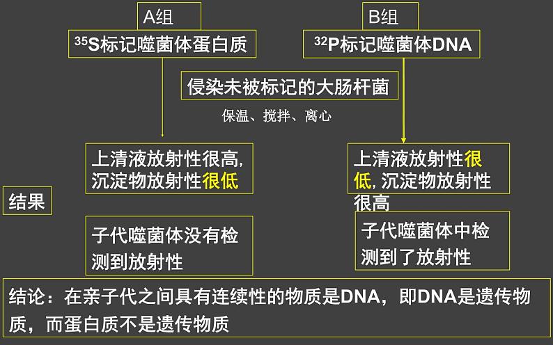 3.1 DNA是主要的遗传物质（第2课时）课件-2020-2021学年人教版（2019）高中生物必修2遗传与进化第7页