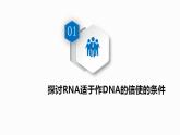 4.1 基因指导蛋白质的合成 课件【新教材】2020-2021学年高一生物人教版（2019）必修二