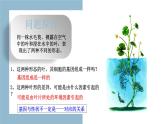 4.2 基因表达与性状的关系 课件【新教材】2020-2021学年高一生物人教版（2019）必修二