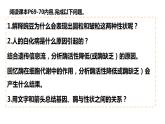 4.2 基因表达与性状的关系 课件【新教材】2020-2021学年高一生物人教版（2019）必修二