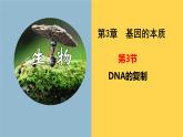 3.3 DNA的复制 课件【新教材】2020-2021学年高一生物人教版（2019）必修二