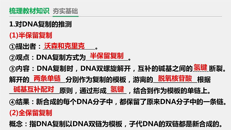 3.3 DNA的复制 课件【新教材】2020-2021学年高一生物人教版（2019）必修二第4页