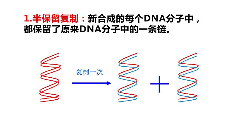 3.3 DNA的复制 课件【新教材】2020-2021学年高一生物人教版（2019）必修二第5页