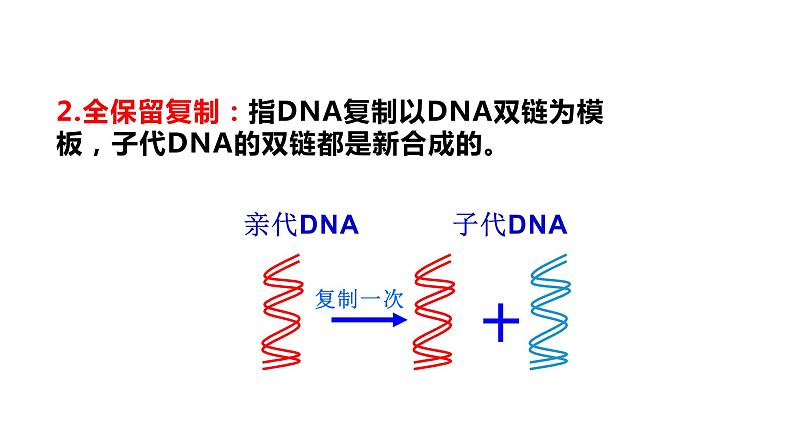 3.3 DNA的复制 课件【新教材】2020-2021学年高一生物人教版（2019）必修二第6页