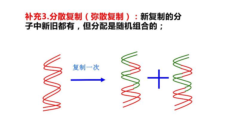 3.3 DNA的复制 课件【新教材】2020-2021学年高一生物人教版（2019）必修二第7页