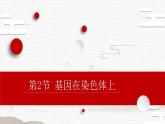 2.2 基因在染色体上 课件【新教材】2020-2021学年高一生物人教版（2019）必修二